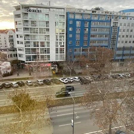 Orchid 021 * Novi Sad