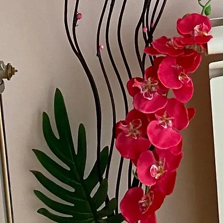 Orchid 021