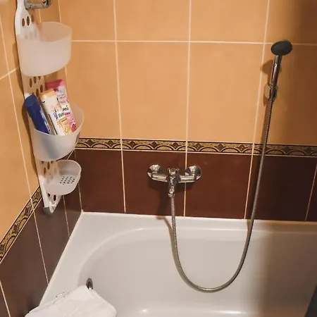 Orchid 021 * Novi Sad