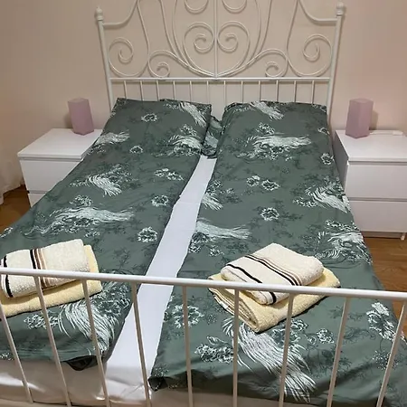 Orchid 021 * Novi Sad